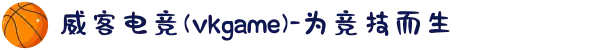 威客电竞(vkgame)-为竞技而生